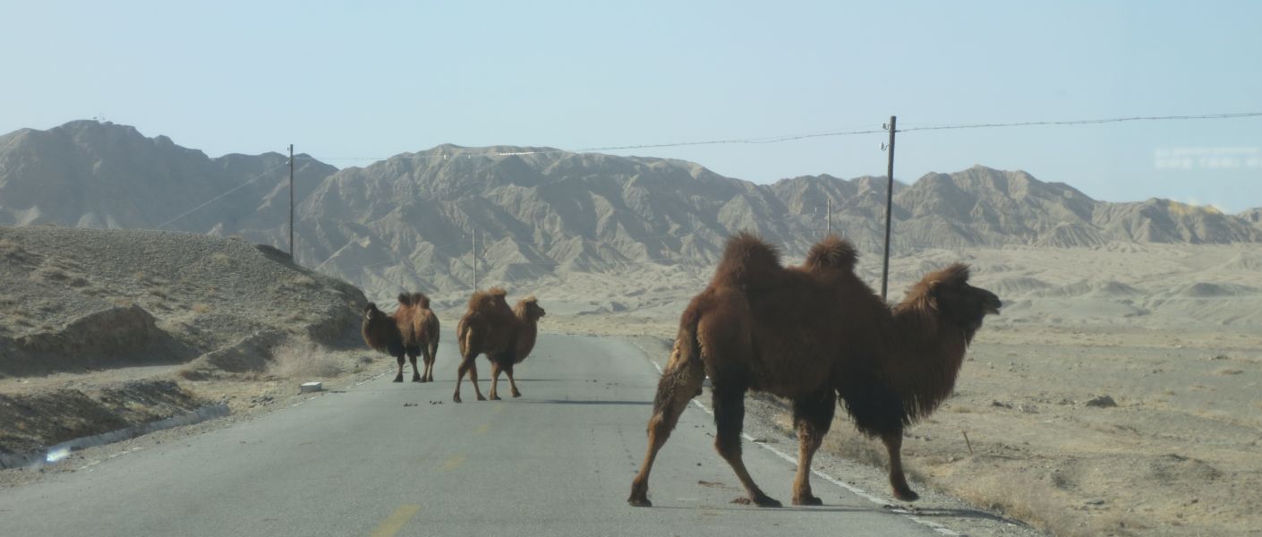 Nagy magyar Kelet-kutatóink nyomában | Előadássorozat | 2. rész