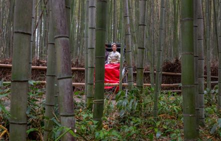 Bozóky Dezső | Kocsány Kornél: Japán kettős fotós tükörben