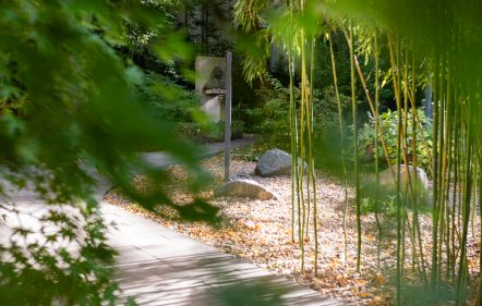 Rendez-vous aux jardins | Kő formálta japánkerti vonások a Hopp Múzeum kertjében