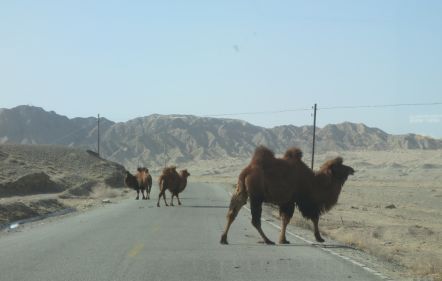 Nagy magyar Kelet-kutatóink nyomában | Előadássorozat | 2. rész