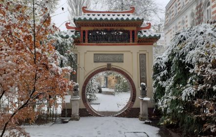  ELMARAD!!! Évzáró kertészkedés a Hopp-villában | Hogyan készítsük fel kertjeinket a télre?