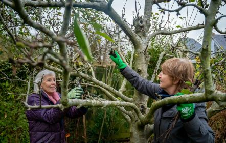 Valentine's Day Pruning Workshop for Garden Lovers