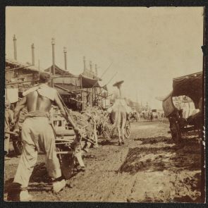 Hopp Ferenc: Utcai jelenet Pekingben