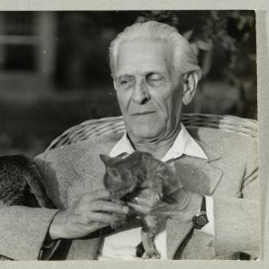 Baktay két kismacskával