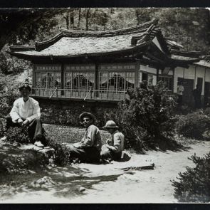 Életkép: Pihenés egy fa hűsítő árnyékában