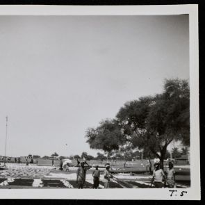 Child laborers dry textiles in the sun on a spacious meadow