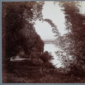 The satinwood bridge in the Peradeniya Botanical Gardens