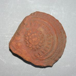 Lotus rosette fragment