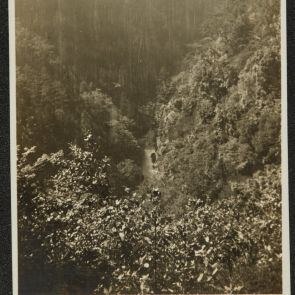 Footpath in a narrow valley, Mount Takao, Jingoji, Kyoto