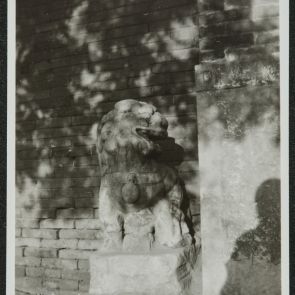 Kőoroszlán, fal előtt, a fényképező árnyékával