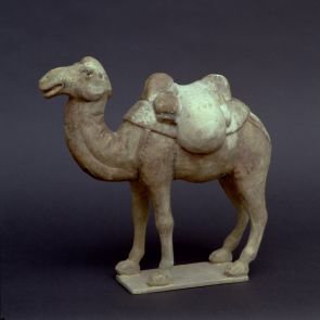 Loaded Bactrian camel