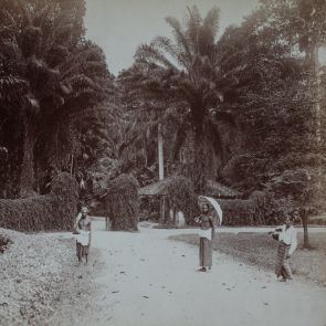 Peradenya. A botanikus kert bejáratánál