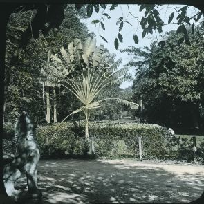 The botanical garden in Saigon