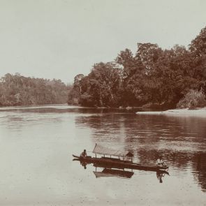 Singapore: Pond in the Botanical Gardens