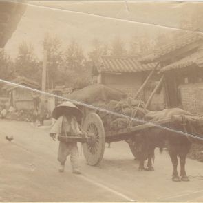 Oxcart in Seoul