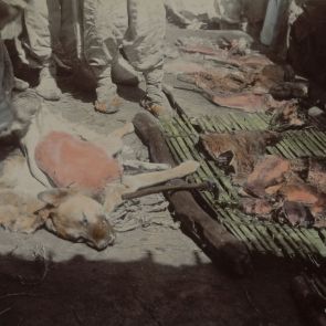 Dog slaughterhouse in Jemulpo