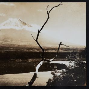 N. Nabeshima's black-and-white postcard in French from Tokyo to Zoltán Felvinczi Takács