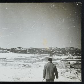 Életkép: Havas táj