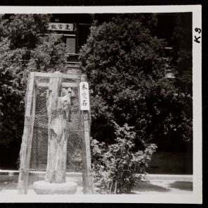 A petrified tree trunk in the garden of Nanhai