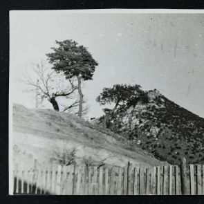 Életképek: Kilátás Klein István szobájának ablakából