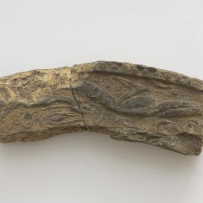 Fragment of a root tile