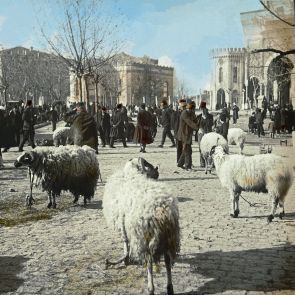 Konstantinápoly. Áldozati állatvásár a Hadügyminisztérium kapuja előtt a Bejazid téren