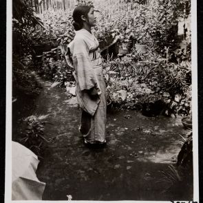 Toki Szeiko házuk kertjében, Kamakura