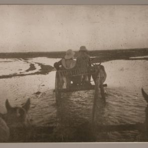 With an oxcart in the flood-plain of the Mekong