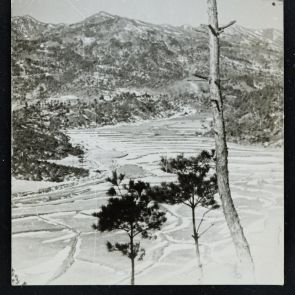 Életkép: Kirándulás egy tóhoz