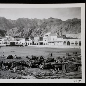 Pihenő tevék a sziklák tövébe épült város szélén, Aden, 1936