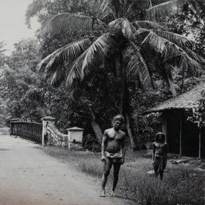 National road near Peradeniya