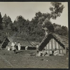 The village of Toda near Ooty (Udagamandalam)