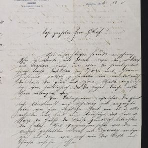 Report of the Sales Manager  Aladár Félix to Ferenc Hopp from Budapest to Auckland