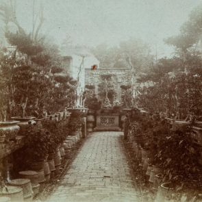 Gardening in Fatih district