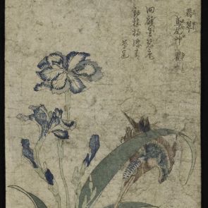 Kingfisher, Irises and Carnations from the Series Small Flowers