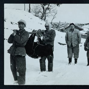 Street photographs: Winter hunting