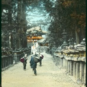 The stone lanterns of the Kasuga-taisha Shrine