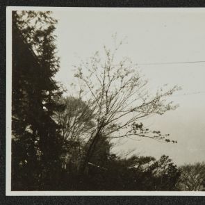Japanese spring from the window of the Miyako Hotel, Kyoto (17.04.1936)