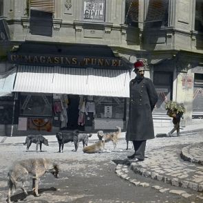 Constantinople. Stray dogs and a kavas (armed officer) by the upper station of the Tünel (underground funicular)
