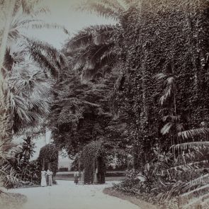 Peradeniya. A botanikuskert bejáratánál