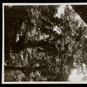 Detail of the garden at Jingoji Temple, Kyoto