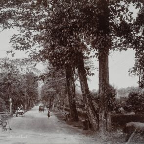 Singapore: Orchard Road leading to the Botanical Gardens