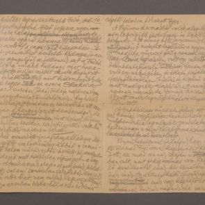 Fragment of the essay by Zoltán Felvinczi Takács