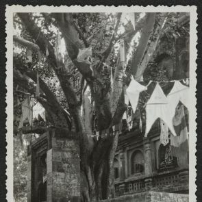 A Bódhifa Bódh-Gajánál (Bodh Gaya)