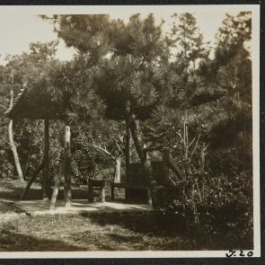 Pavilion among the pines, Momoyama