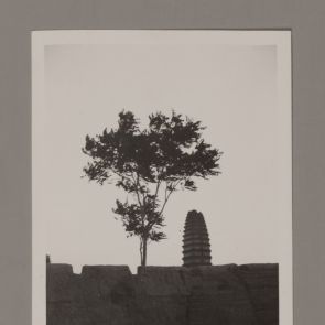 A Vadludak kis pagodája, Xi'an