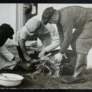 Életkép: Udvari előkészületek főzéshez