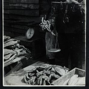 Genre: Crab, fish market