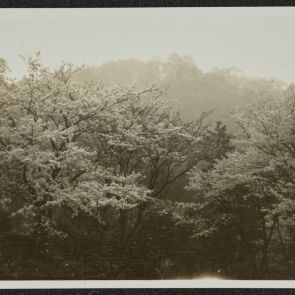 Maruyama Park, Kyoto, 1936