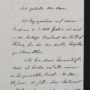 Letter of Josepf Haas, vice-consul of the Austro-Hungarian Monarchy in Shanghai, to Ferenc Hopp, about the sending of three trunks of chinese porcelain and the turtle stone